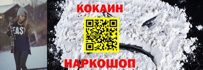 мдпв Камышлов