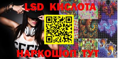 мдпв Камышлов