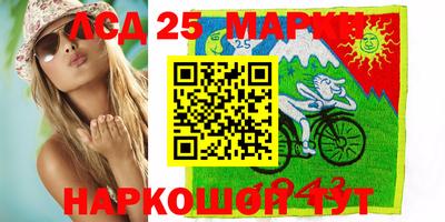 мдпв Камышлов