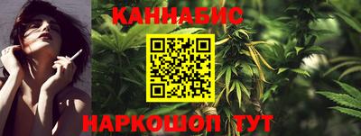 мдпв Камышлов