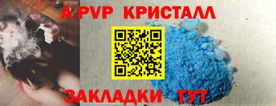 мдпв Камышлов