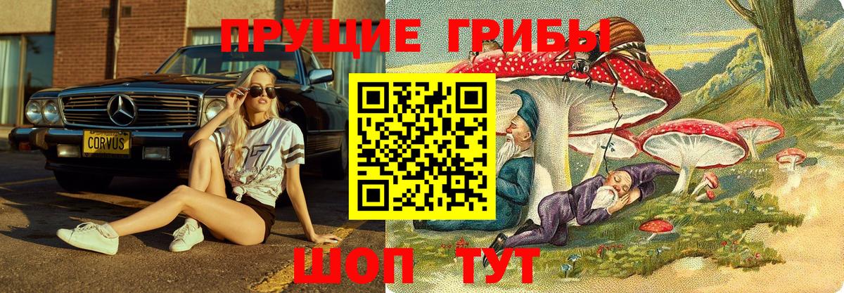 Галлюциногенные грибы ЛСД Зерноград