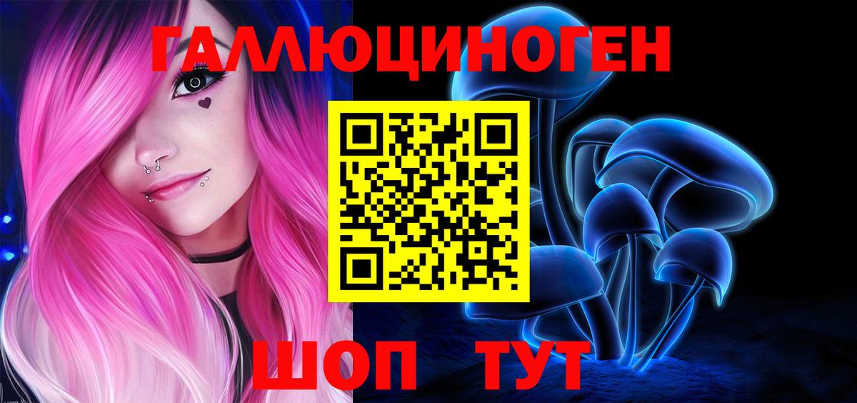 Зерноград  Галлюциногенные грибы Psilocybine cubensis  Вход с VPN  Псилоцибиновые грибы Psilocybe 